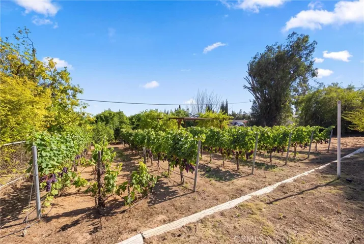 8501 Bella Vista, Rancho Cucamonga, California 91701