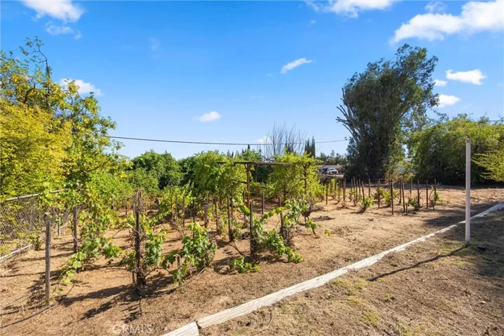 8501 Bella Vista, Rancho Cucamonga, California 91701