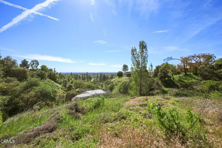 Upper View