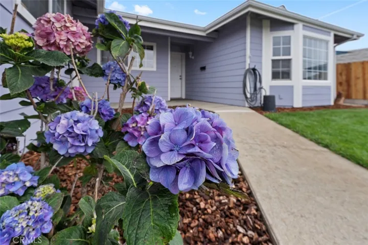 634 S Halcyon, Arroyo Grande, California 93420