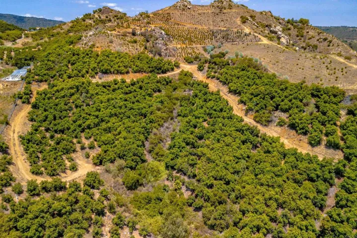 1 Los Gatos Road, Temecula, California 92590