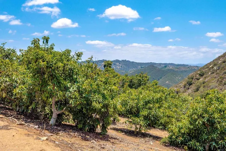 1 Los Gatos Road, Temecula, California 92590
