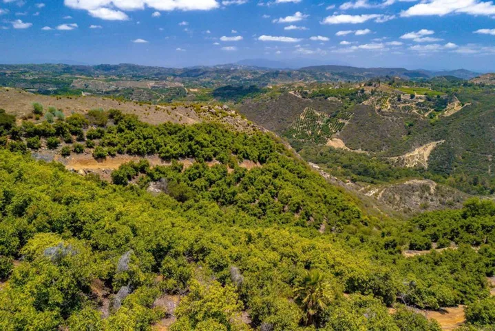 1 Los Gatos Road, Temecula, California 92590