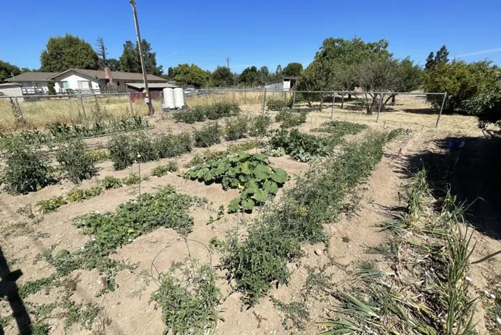 1135 Manning Court, San Martin, California 95046