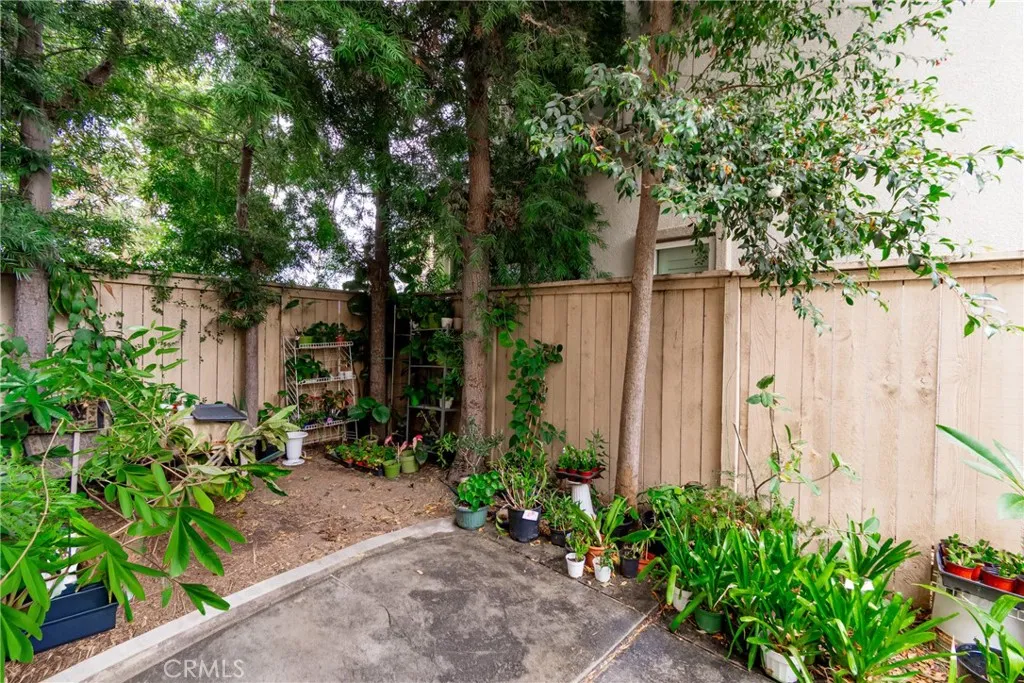 Patio 1