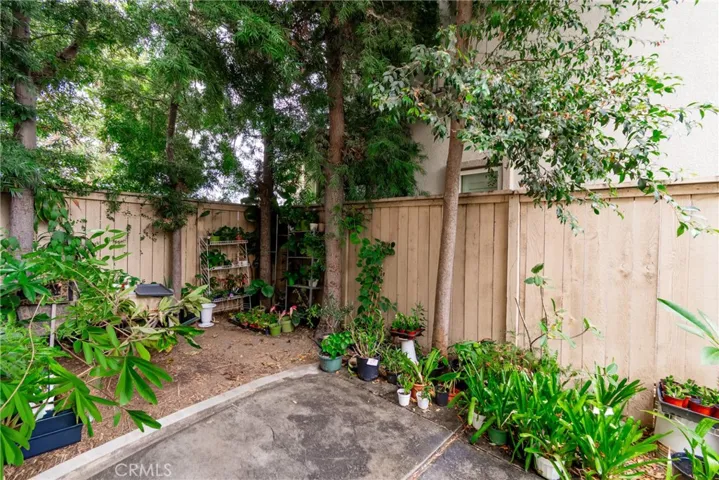 Patio 1