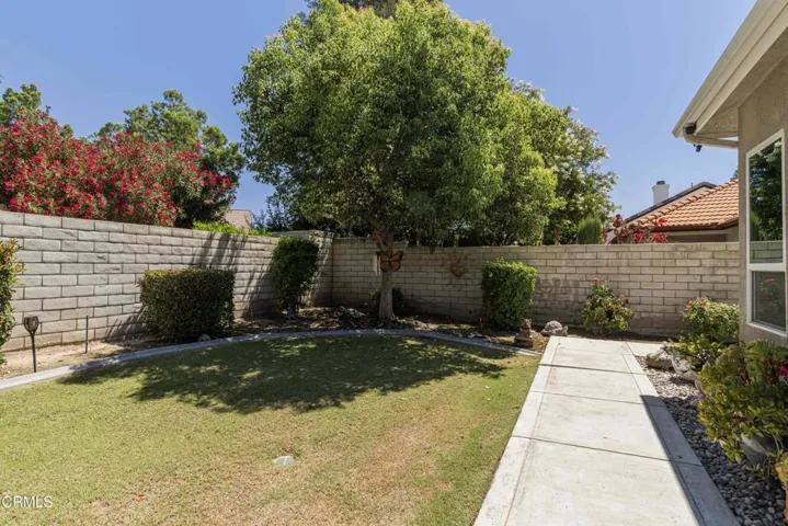 40_backyard_2
