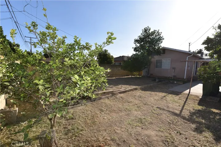 large back yard