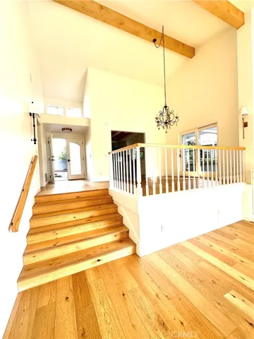 11 Rocky, Irvine, California 92612