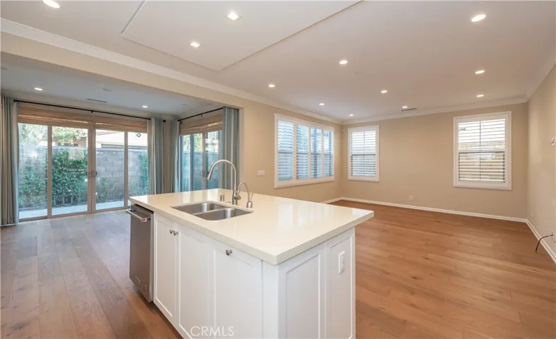 Living room and kitchen