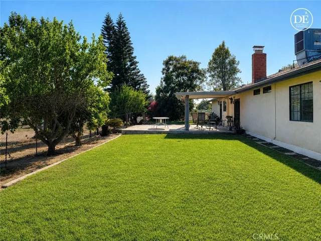 Digitally Enhanced Back Yard