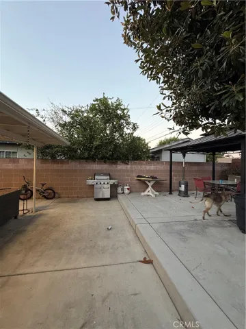 back yard