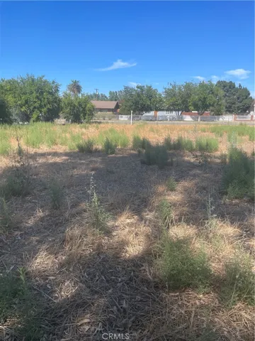 0 9th Street, Williams, California 95987