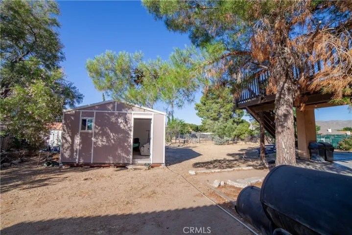 MANCAVE/SHESHED