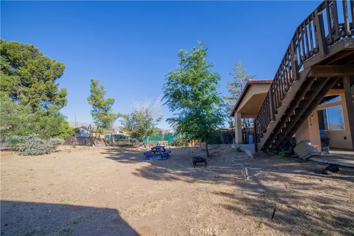 LARGE BACKYARD