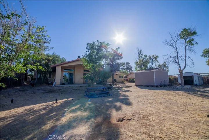 LARGE BACKYARD