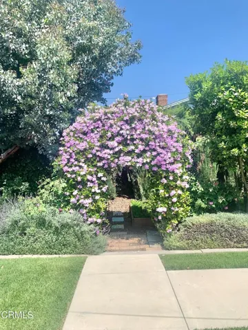Blooms in the Springtime