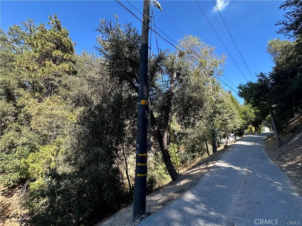 24960 Saxon Drive, Crestline, California 92325 — photo 5