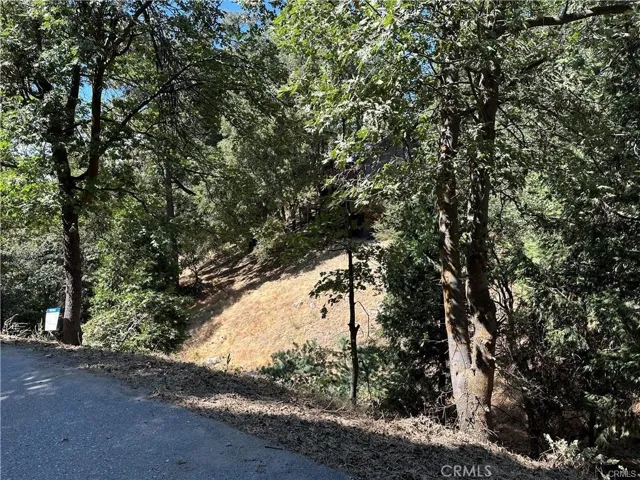24960 Saxon Drive, Crestline, California 92325