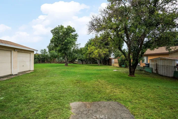 Back Yard