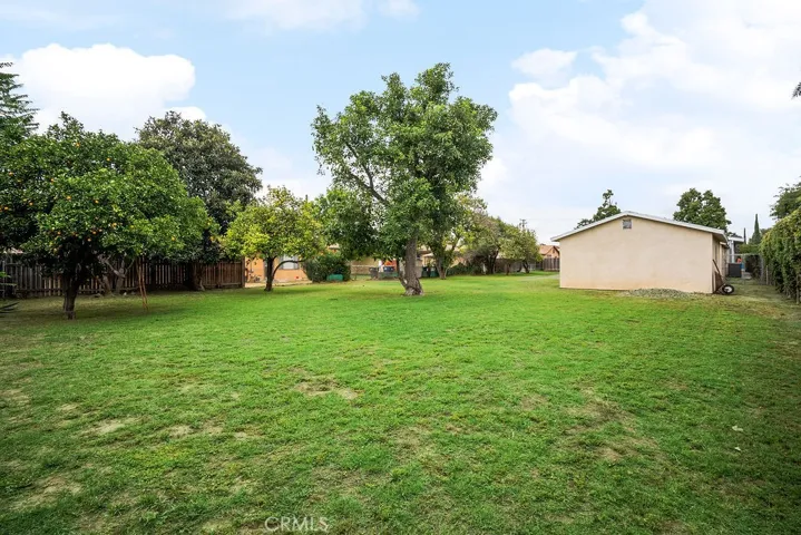 Large Back Yard