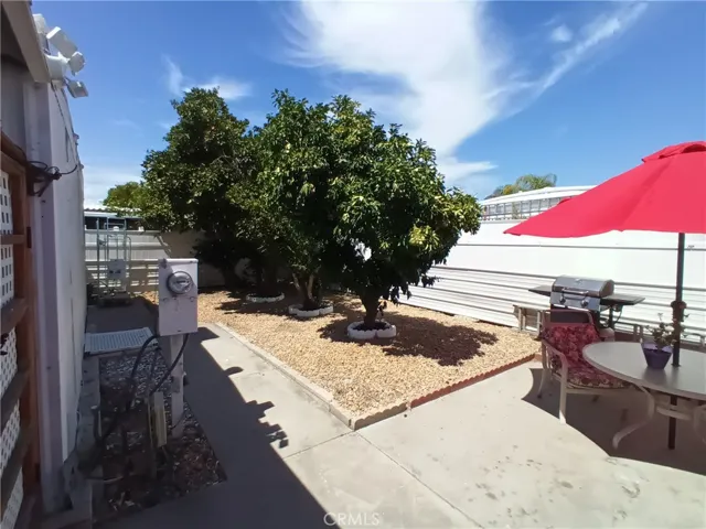 BIG YARD  BIG GARDEN BIG FRUIT TREES