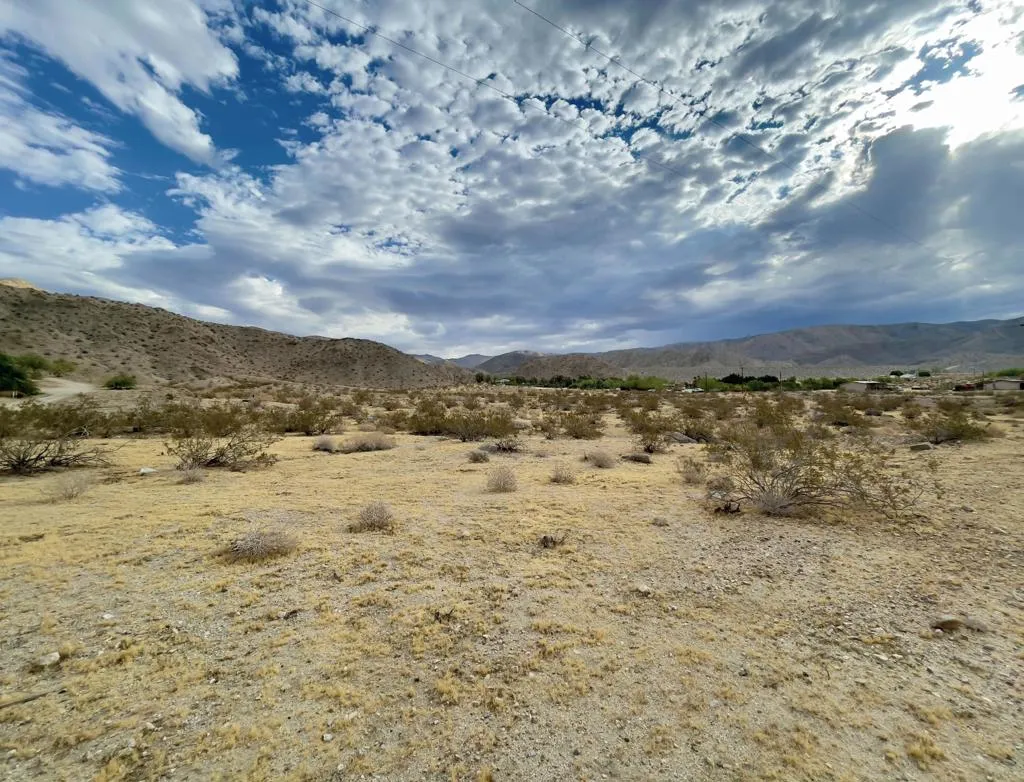 Land Facing North