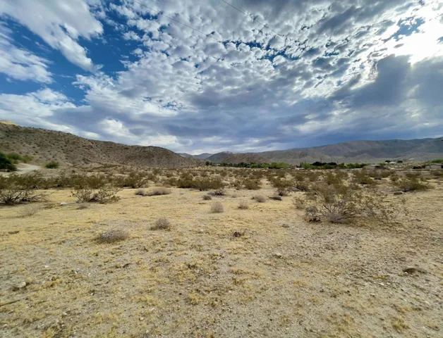 Land Facing North