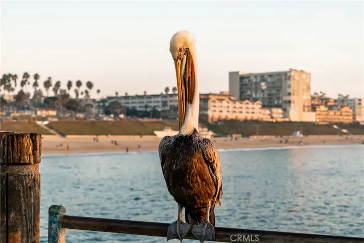 140 The Village 407, Redondo Beach, California 90277