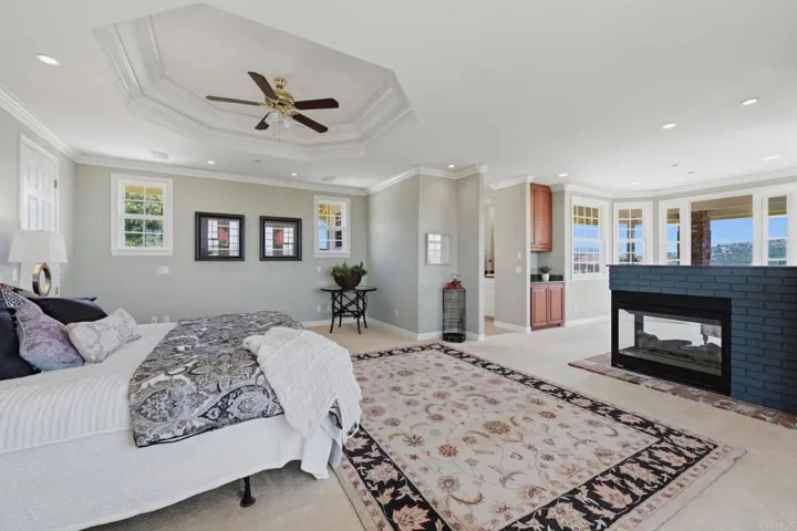 Primary bedroom fireplace