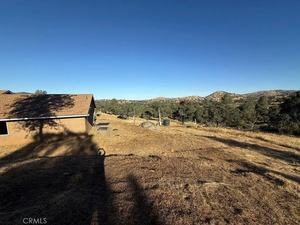 gallery-image 4