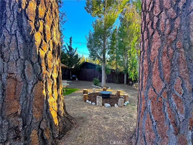1303 Shay, Big Bear City, California 92314