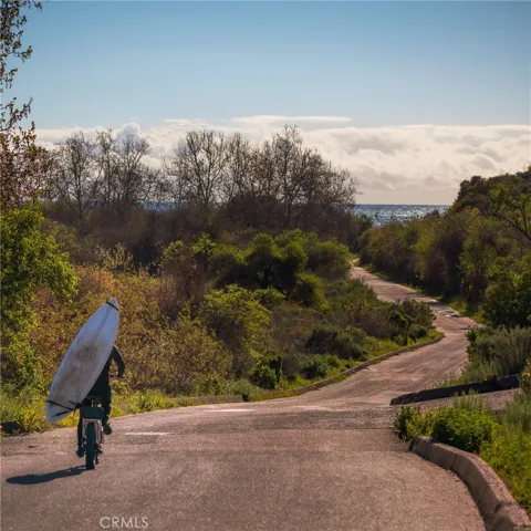 2911 Carta Taza, San Clemente, California 92673