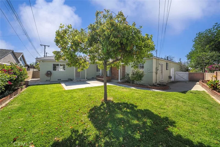 Parklike backyard.
