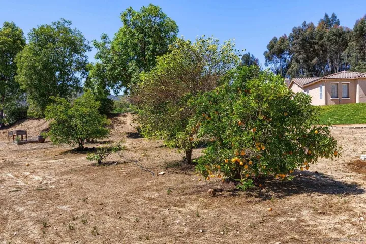 26138 Wyndemere, Escondido, California 92026