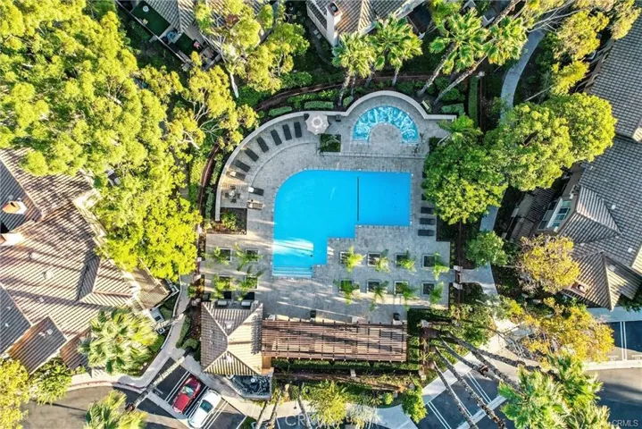 community pool and spa