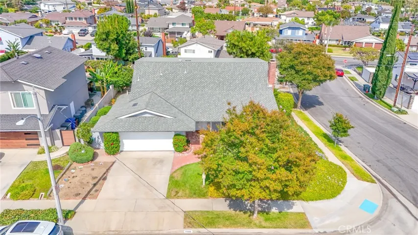 Drone View