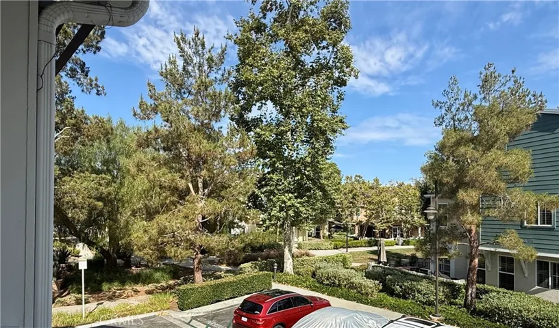 Beautiful tree view off the deck