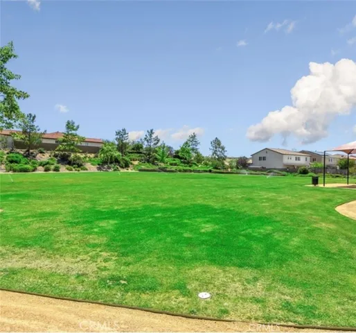 Grass Area