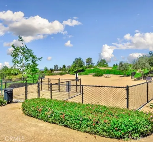 Dog Park