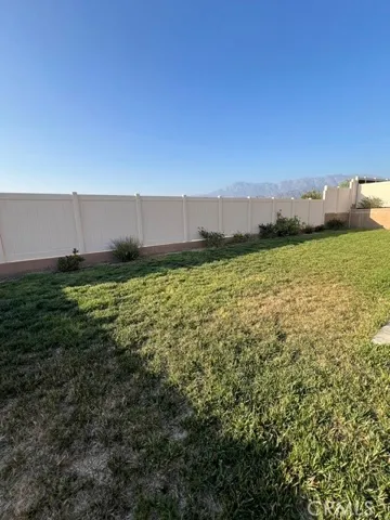 View of Area Back Yard