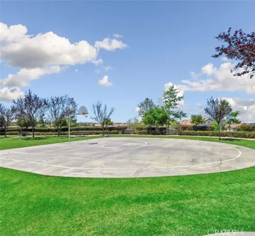Basketball Court