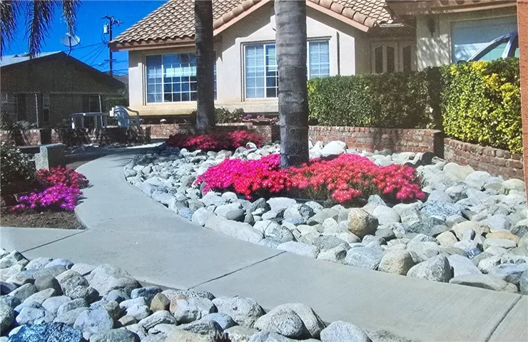 Spring Flowers Pic