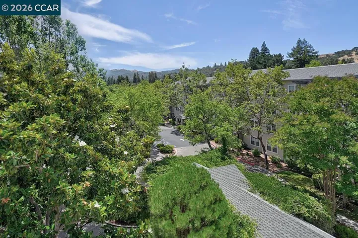 Tree top and Hill Views
