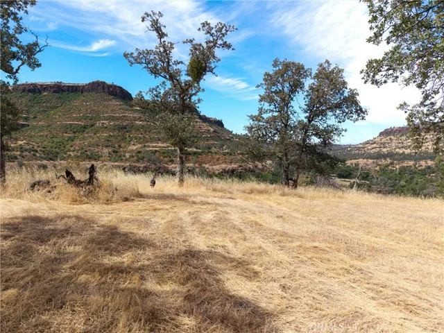 1985 Flatiron, Chico, California 95928