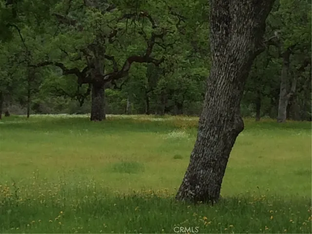 1985 Flatiron, Chico, California 95928
