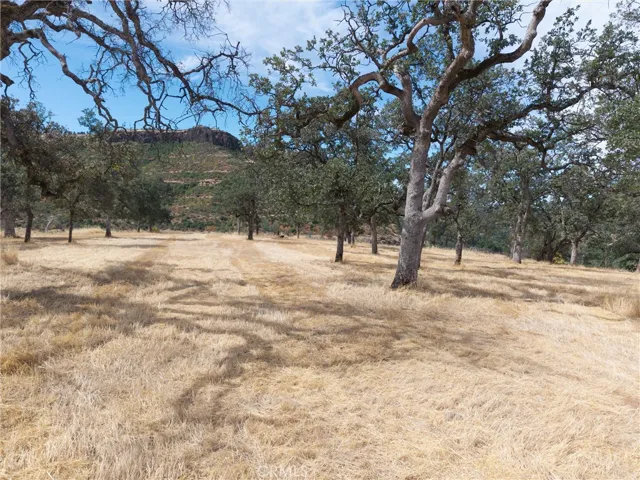 1985 Flatiron, Chico, California 95928