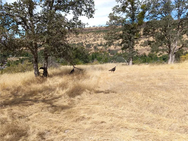 1985 Flatiron, Chico, California 95928