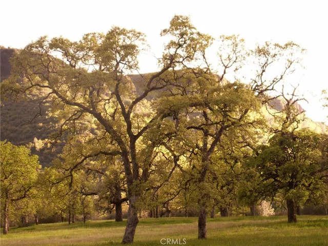 1985 Flatiron, Chico, California 95928