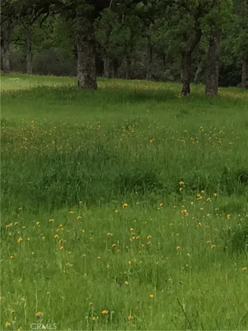 1985 Flatiron, Chico, California 95928